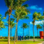 Aracaju em notícia: informações sobre política, economia, saúde,