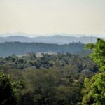 Mogi das Cruzes- O Diário de Mogi