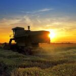 Notícias sobre agronegócio e pecuária